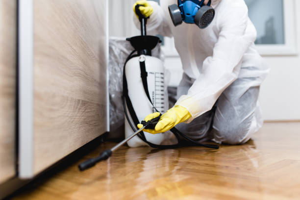 Best Local Pest Control Services  in Ely, NV