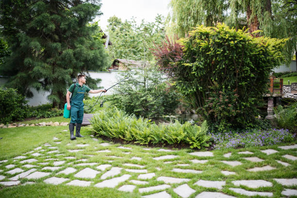 Best Pest Control for Businesses  in Ely, NV