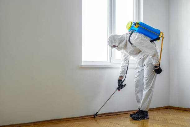 Best Emergency Pest Control  in Ely, NV